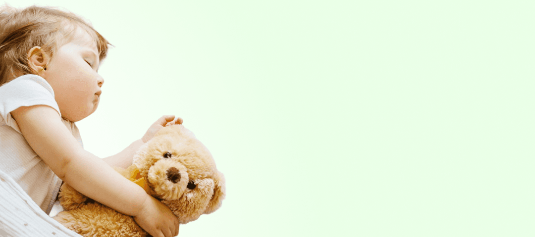 Uyku Kampı image