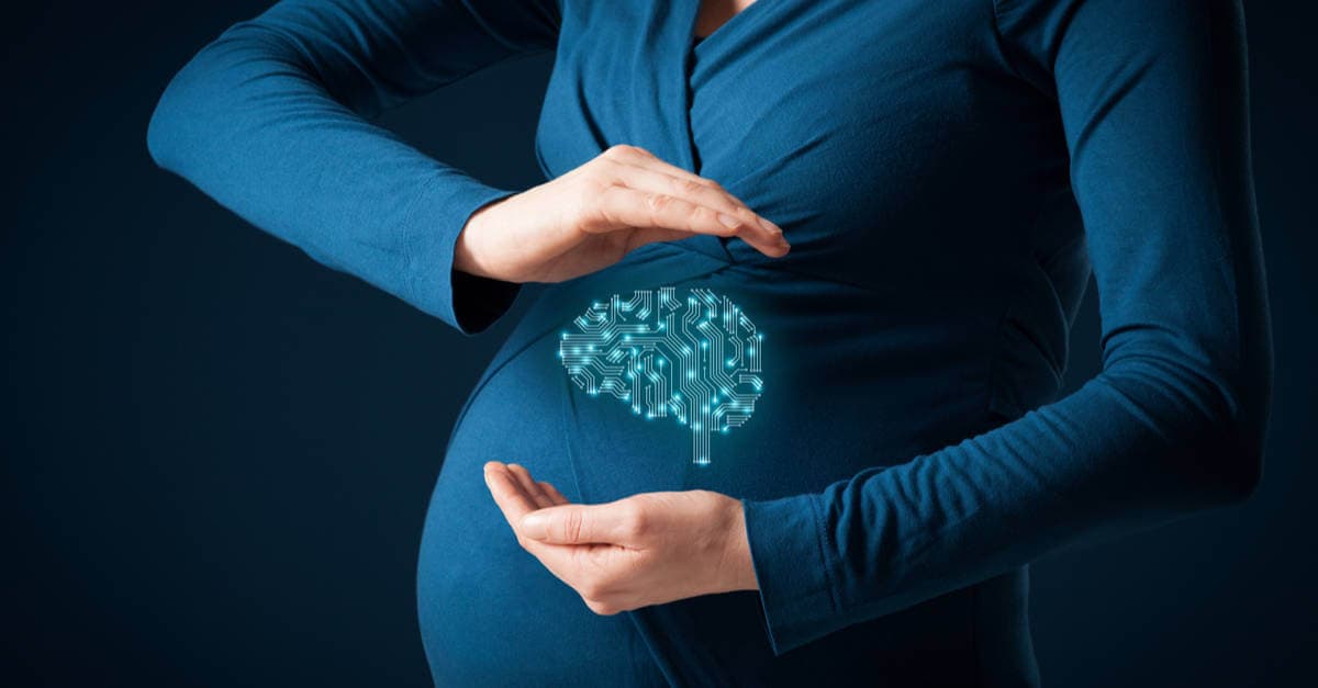 Hamilelikte Zeka Testi kapak resmi