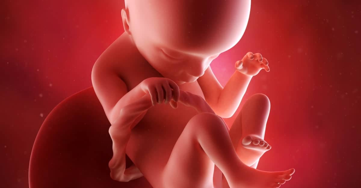 18 Haftalık Gebelikte Bebeğinizde ve Sizde Neler Oluyor? kapak resmi
