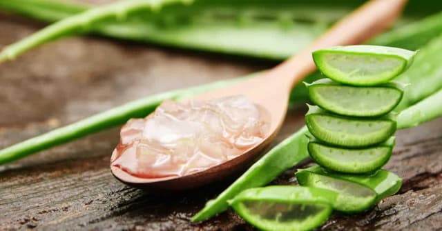 Aloe Vera'nın 7 Faydası! image