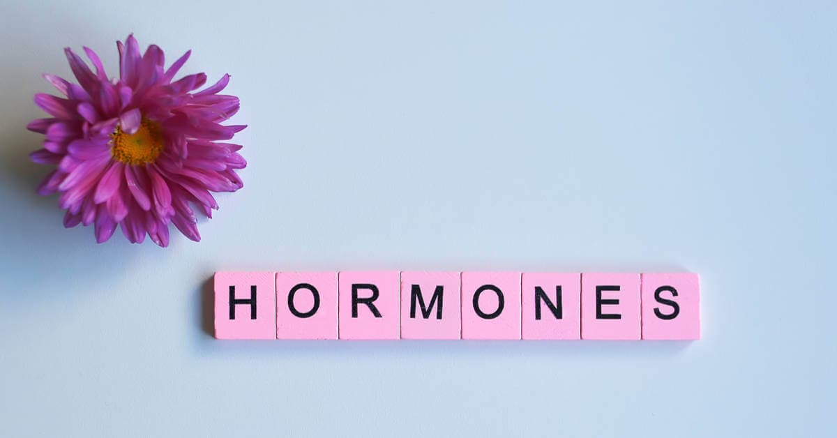 hamilelikte-sut-gelmesine-neden-olan-hormanlar-nelerdir