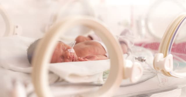 Kuvöz Nedir ve Bebekler Neden Kuvöze Alınır? Detaylı Rehber image