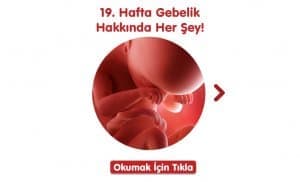 19-hafta-gebelik-hakkinda-hersey