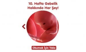 gebelikte-10-hafta