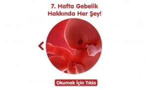 gebelikte-7-hafta