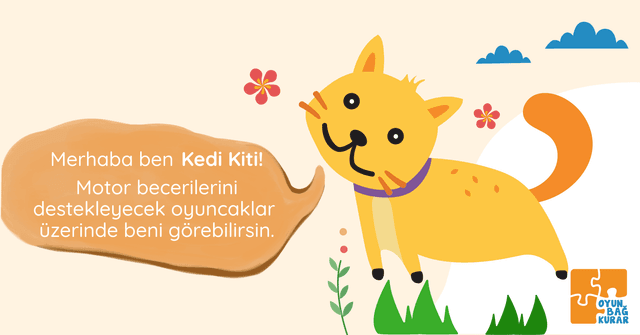 Kedi Kiti ile Kaba Motor Kas Gelişimi image