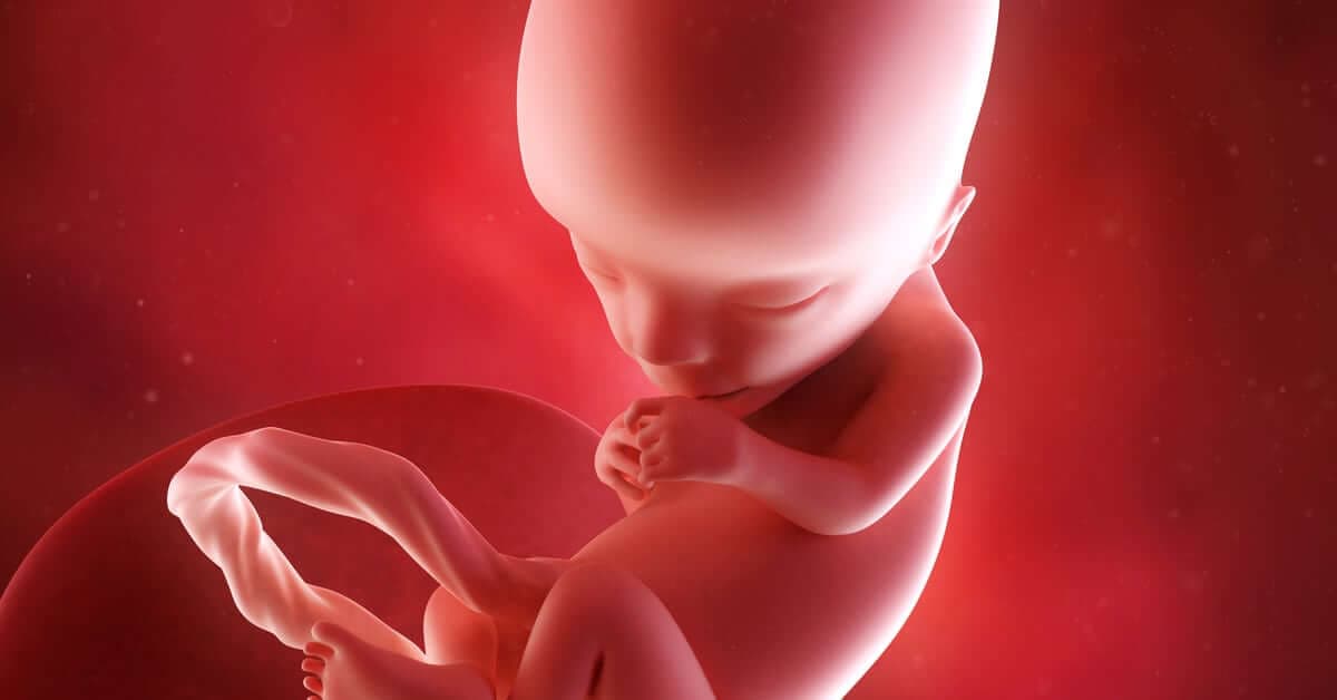 13. Haftada Gebelik Gelişimi: Bebeğinizde ve Sizin Vücudunuzda Neler Oluyor? kapak resmi