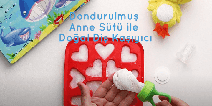 Anne Sütünden Doğal Diş Kaşıyıcı kapak resmi